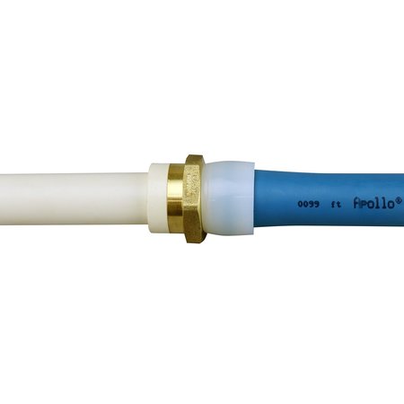 APOLLO EXPANSION PEX 3/4 in. Brass PEX-A Barb x 3/4 in. Schedule 40 PVC Straight Adapter EPXPVC34